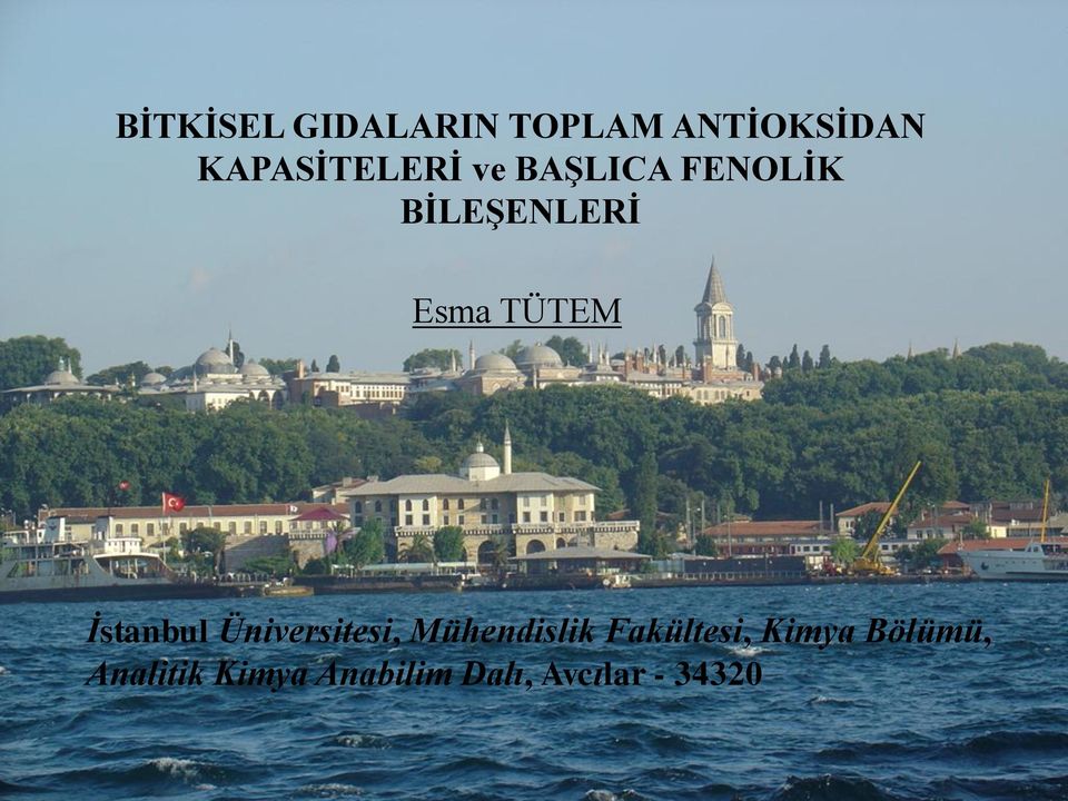 TÜTEM İstanbul Üniversitesi, Mühendislik