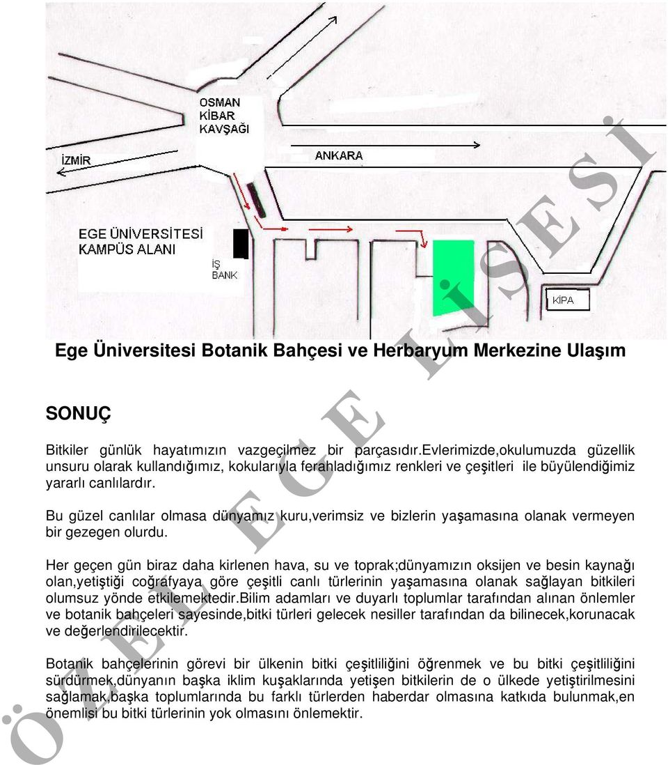 Bu güzel canlılar olmasa dünyamız kuru,verimsiz ve bizlerin yaşamasına olanak vermeyen bir gezegen olurdu.