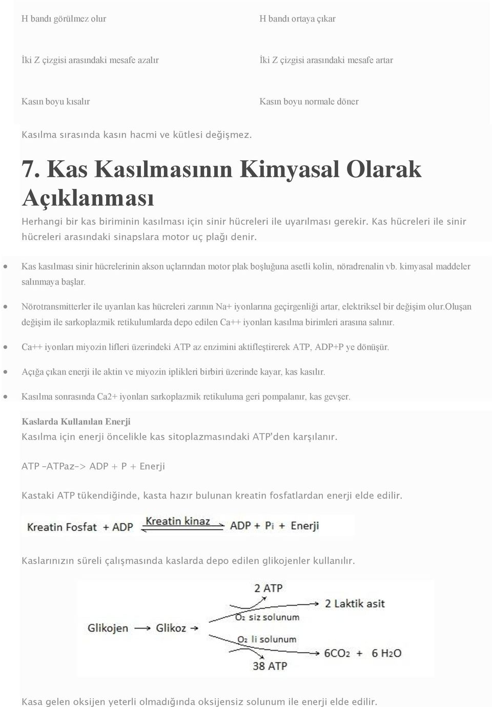 Kas hücreleri ile sinir hücreleri arasındaki sinapslara motor uç plağı denir. Kas kasılması sinir hücrelerinin akson uçlarından motor plak boşluğuna asetli kolin, nöradrenalin vb.