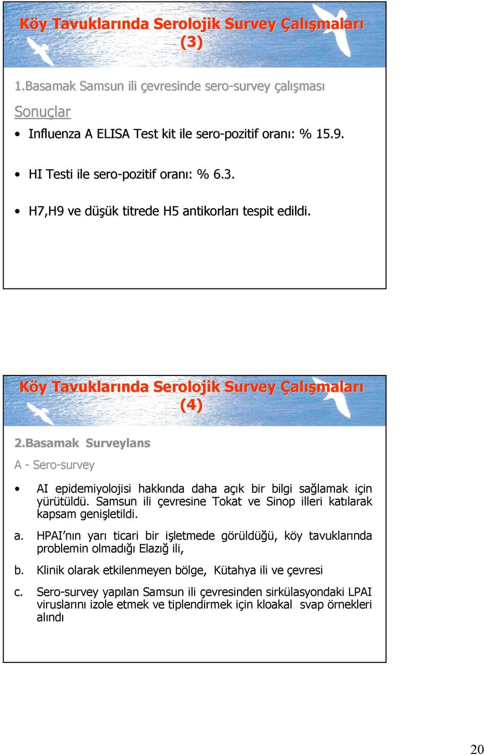 3. 6.3. H7,H9 ve dü düşük titrede H5 antikorları antikorları tespit edildi. Köy Tavukları malarıı Tavuklarında Serolojik Survey Çalış alışmalar (4) 2.Basamak 2.