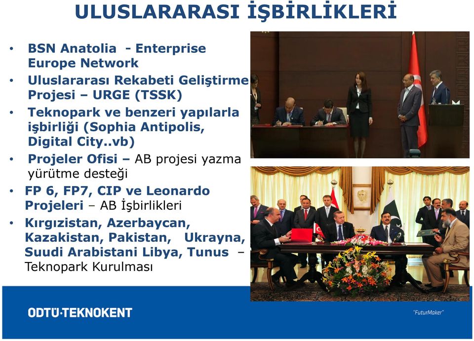 .vb) Projeler Ofisi AB projesi yazma yürütme desteği FP 6, FP7, CIP ve Leonardo Projeleri AB