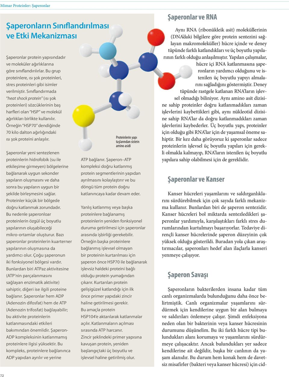 Sınıflandırmada heat shock protein (ısı şok proteinleri) sözcüklerinin baş harfleri olan HSP ve molekül ağırlıkları birlikte kullanılır.