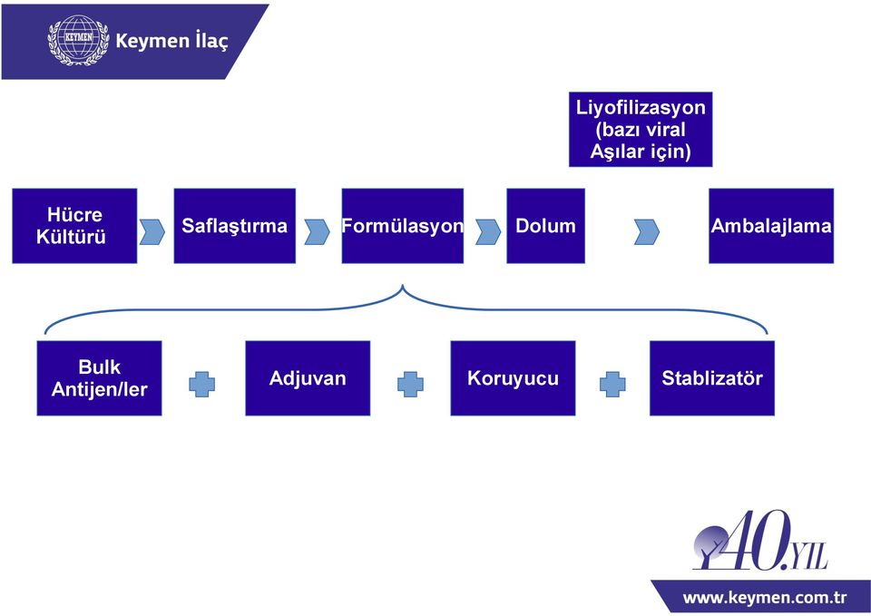 Formülasyon Dolum Ambalajlama Bulk