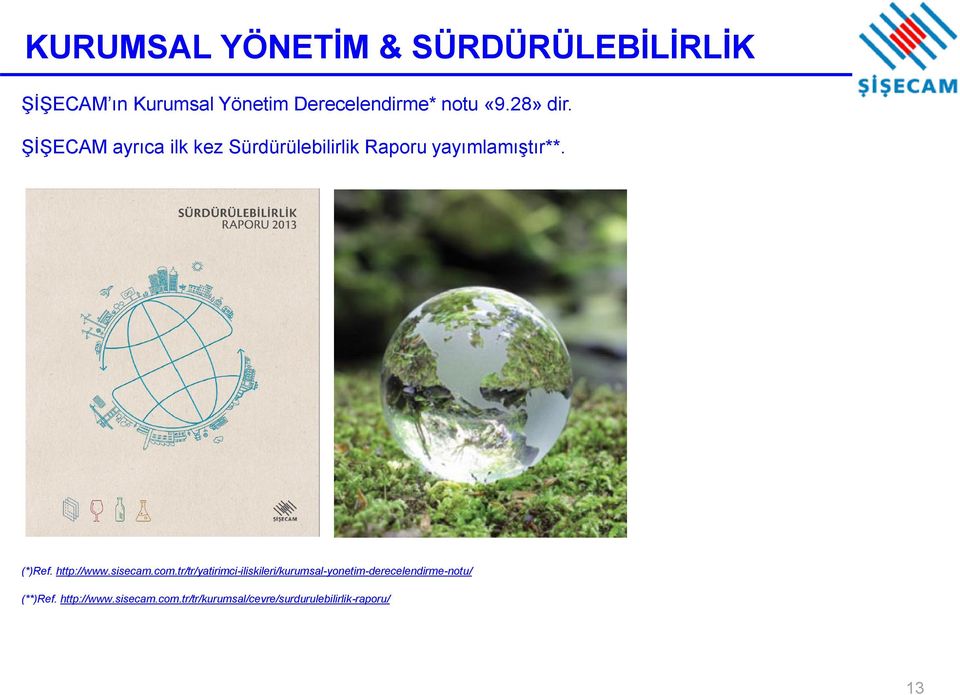 Nisan 2013 Mayıs 2014 MOODY's Ba1/Durağan Onaylandı S&P BB+/Durağan Onaylandı (*)Ref. http://www.sisecam.