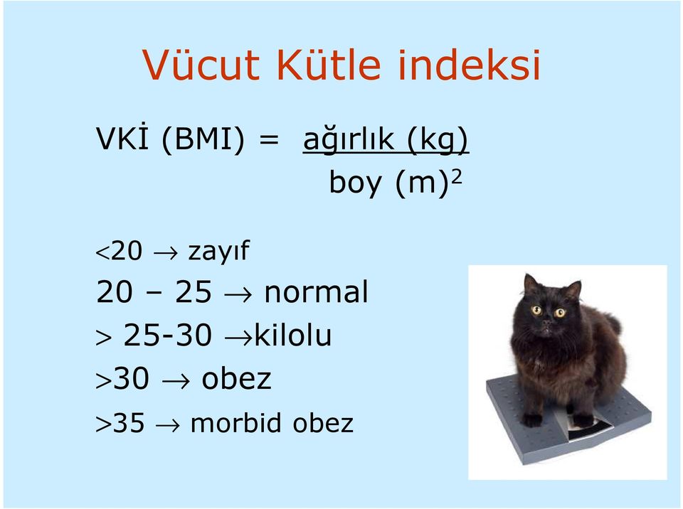 zayıf 20 25 normal > 25-30