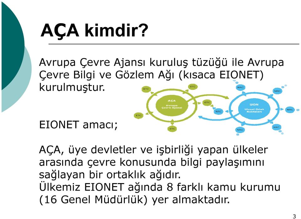 EIONET) kurulmuştur.