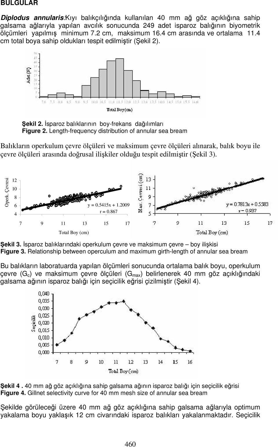 Length-frequency distribution of annular sea bream Balıkların operkulum çevre ölçüleri ve maksimum çevre ölçüleri alınarak, balık boyu ile çevre ölçüleri arasında doğrusal ilişkiler olduğu tespit