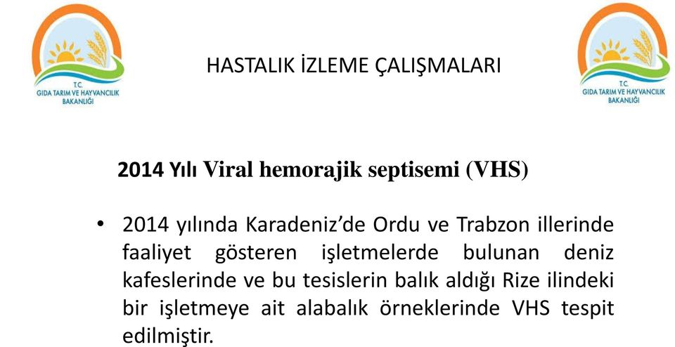 işletmelerde bulunan deniz kafeslerinde ve bu tesislerin balık aldığı