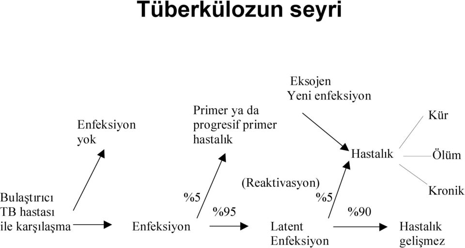 (Reaktivasyon) Bulaştırıcı %5 %5 Kronik TB hastası %95 %90