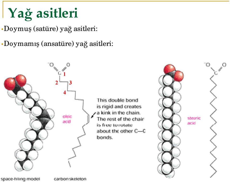 asitleri: Doymamış