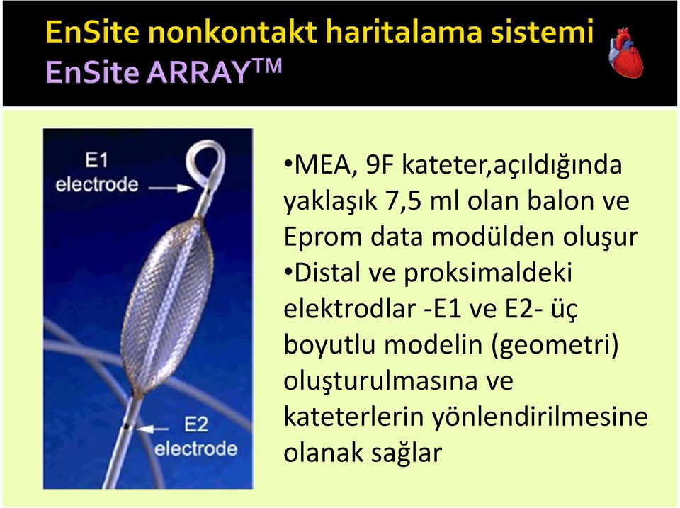 elektrodlar-e1 ve E2-üç boyutlu modelin (geometri)