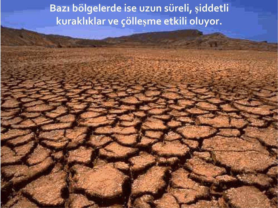 şiddetli