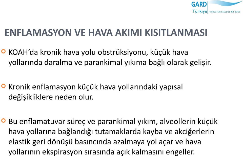 Bu enflamatuvar süreç ve parankimal yıkım, alveollerin küçük hava yollarına bağlandığı tutamaklarda kayba ve