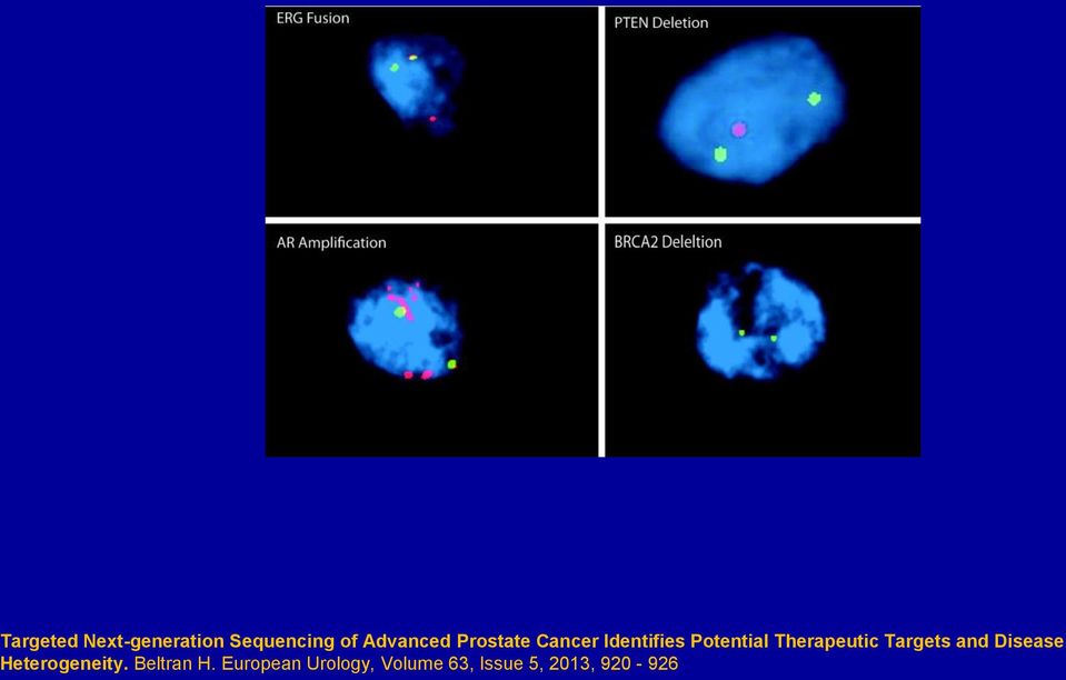 Targets and Disease Heterogeneity. Beltran H.