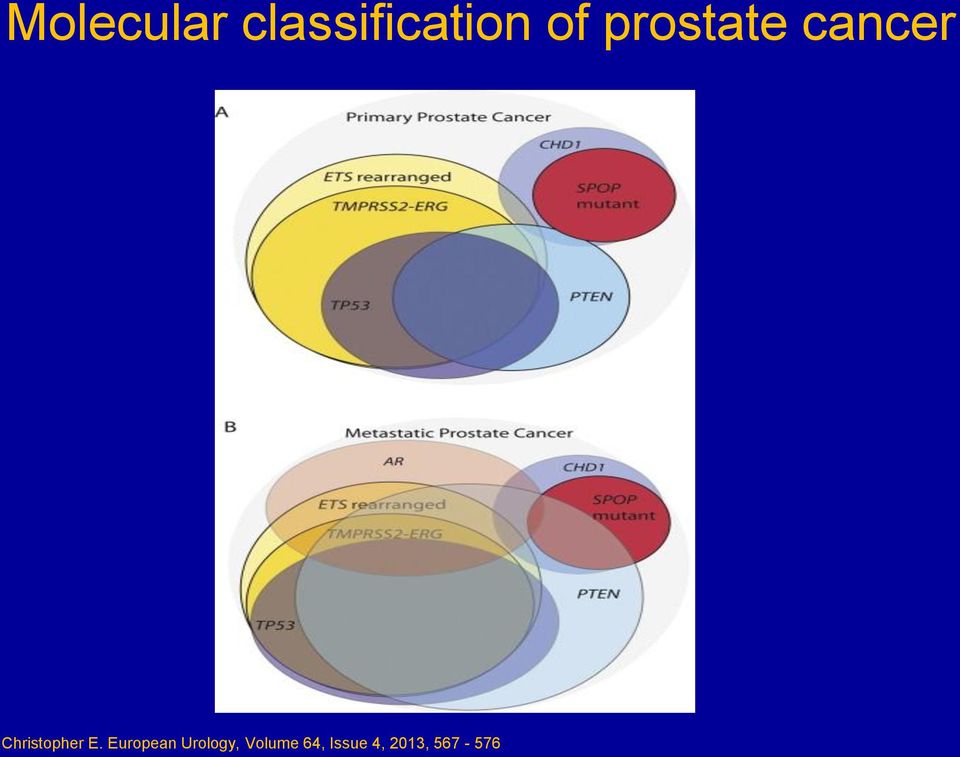 E. European Urology, Volume