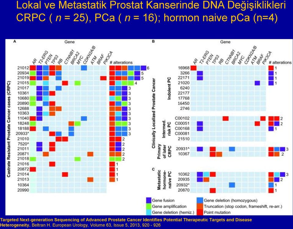 Advanced Prostate Cancer Identifies Potential Therapeutic Targets and