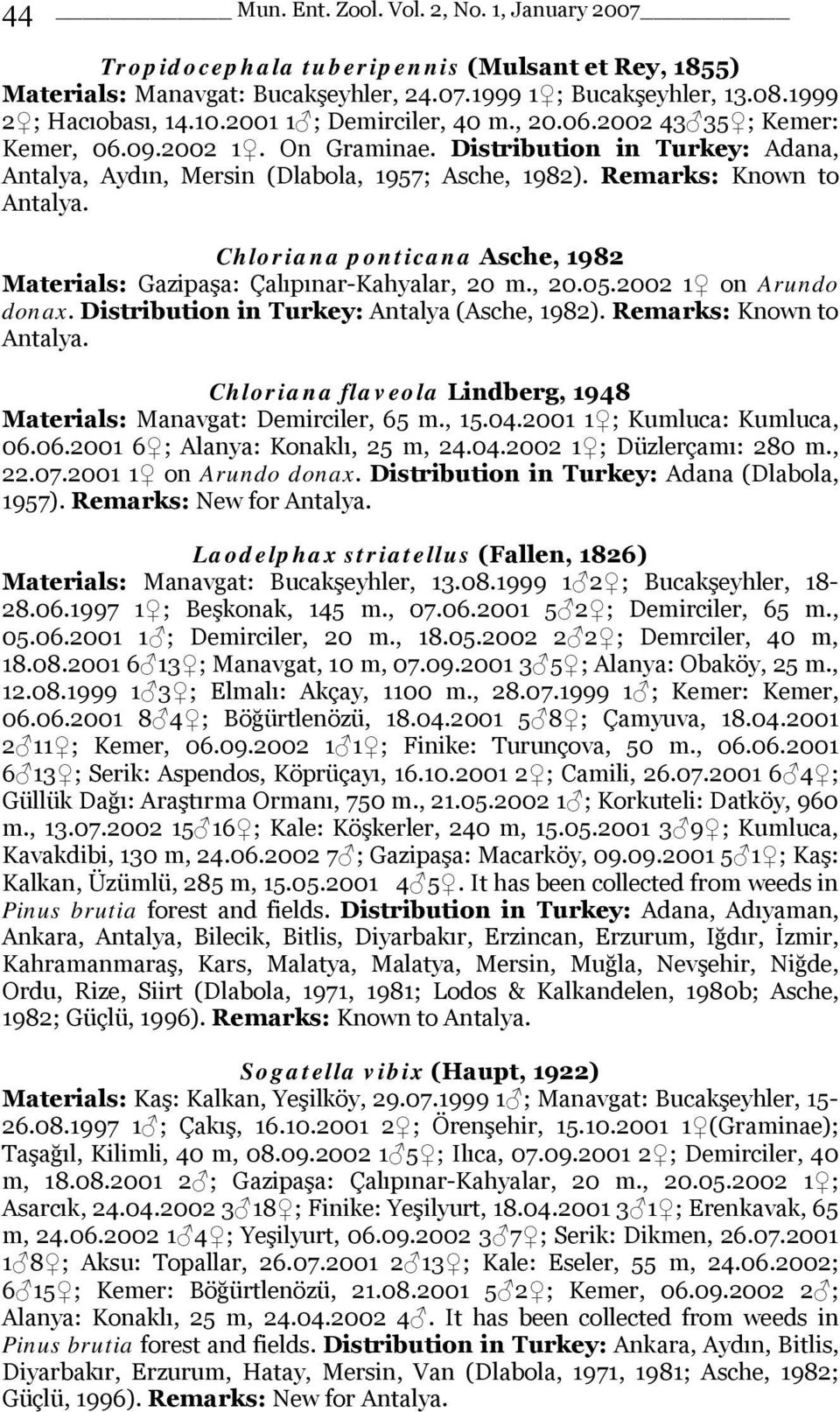 Chloriana ponticana Asche, 1982 Materials: Gazipaşa: Çalıpınar-Kahyalar, 20 m., 20.05.2002 1 on Arundo donax. Distribution in Turkey: Antalya (Asche, 1982). Remarks: Known to Antalya.