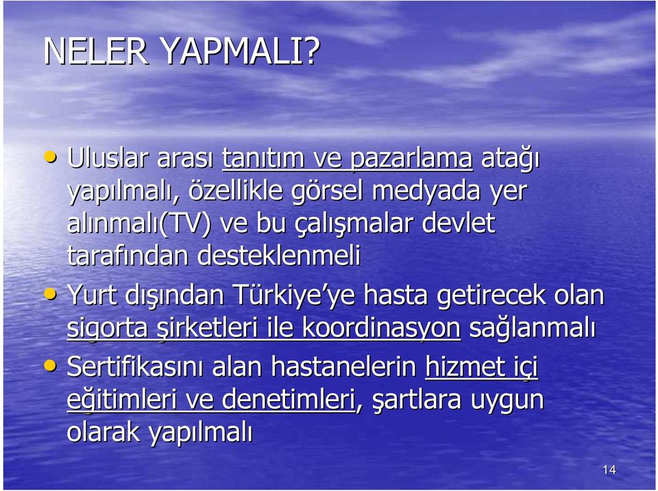 nmalı(tv) ve bu çalışmalar devlet tarafından desteklenmeli Yurt dışıd ışından TürkiyeT rkiye ye