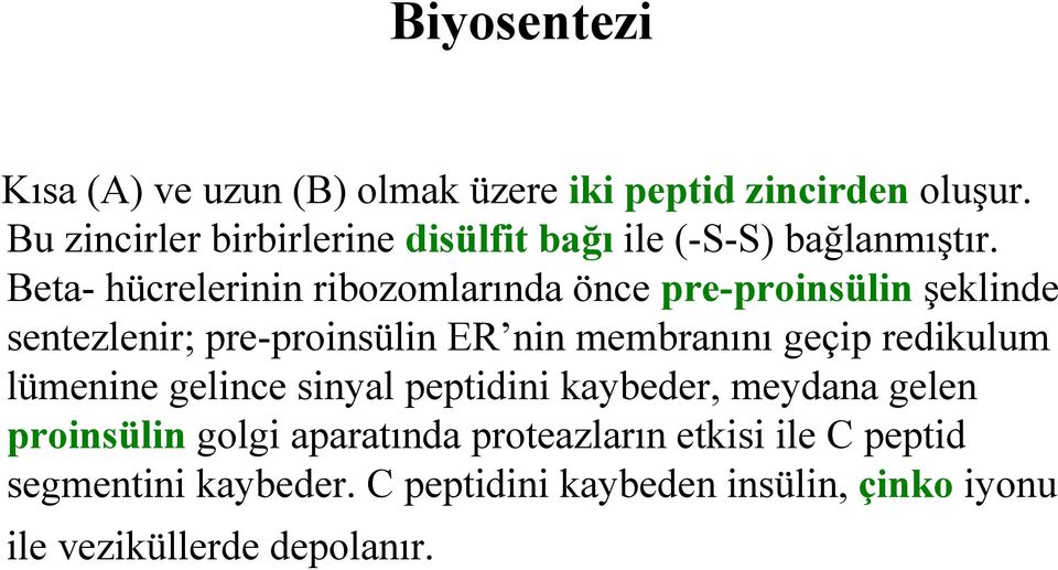 Beta- hücrelerinin ribozomlarında önce pre-proinsülin şeklinde sentezlenir; pre-proinsülin ER nin membranını geçip