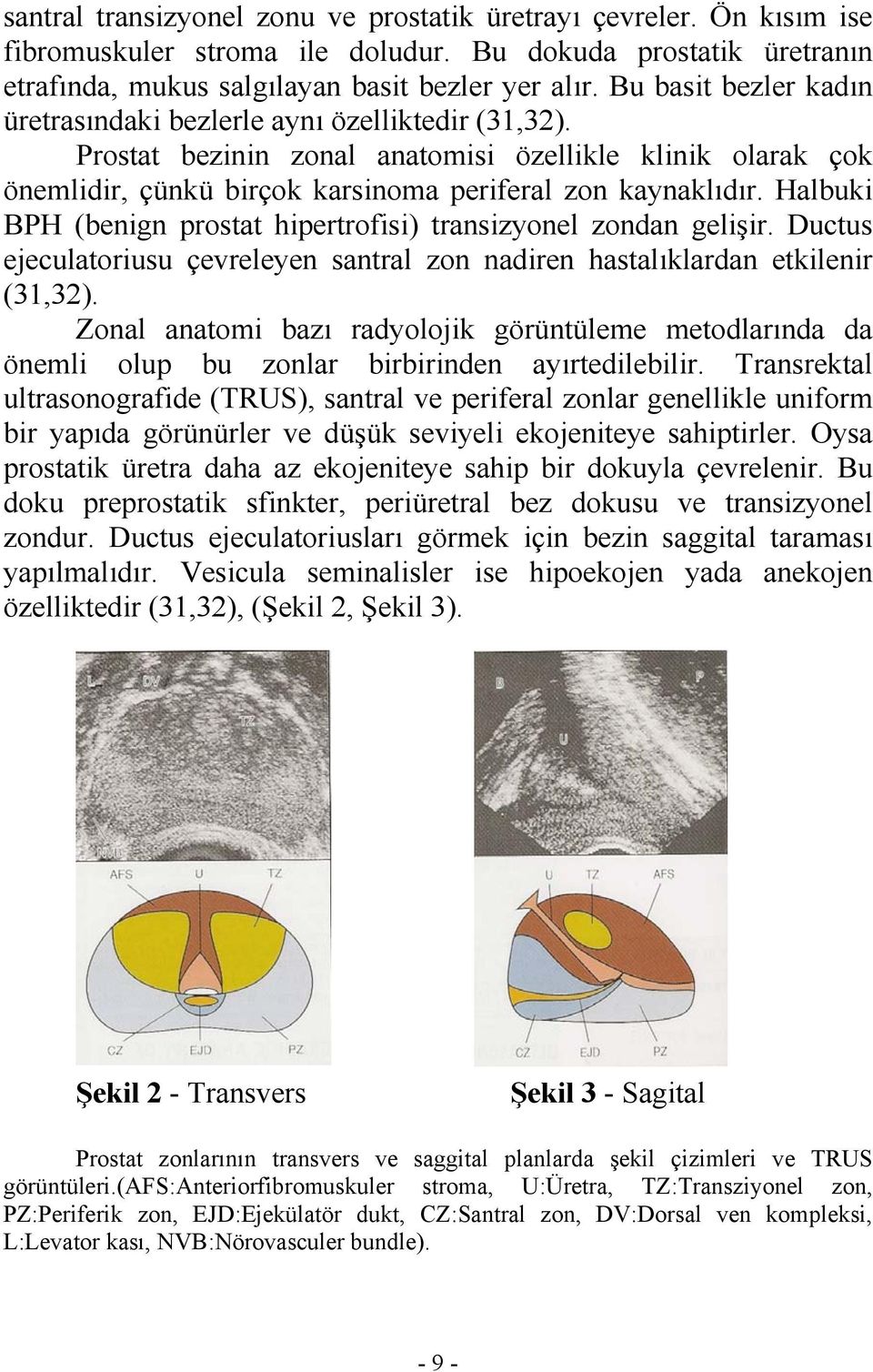 Halbuki BPH (benign prostat hipertrofisi) transizyonel zondan gelişir. Ductus ejeculatoriusu çevreleyen santral zon nadiren hastalıklardan etkilenir (31,32).