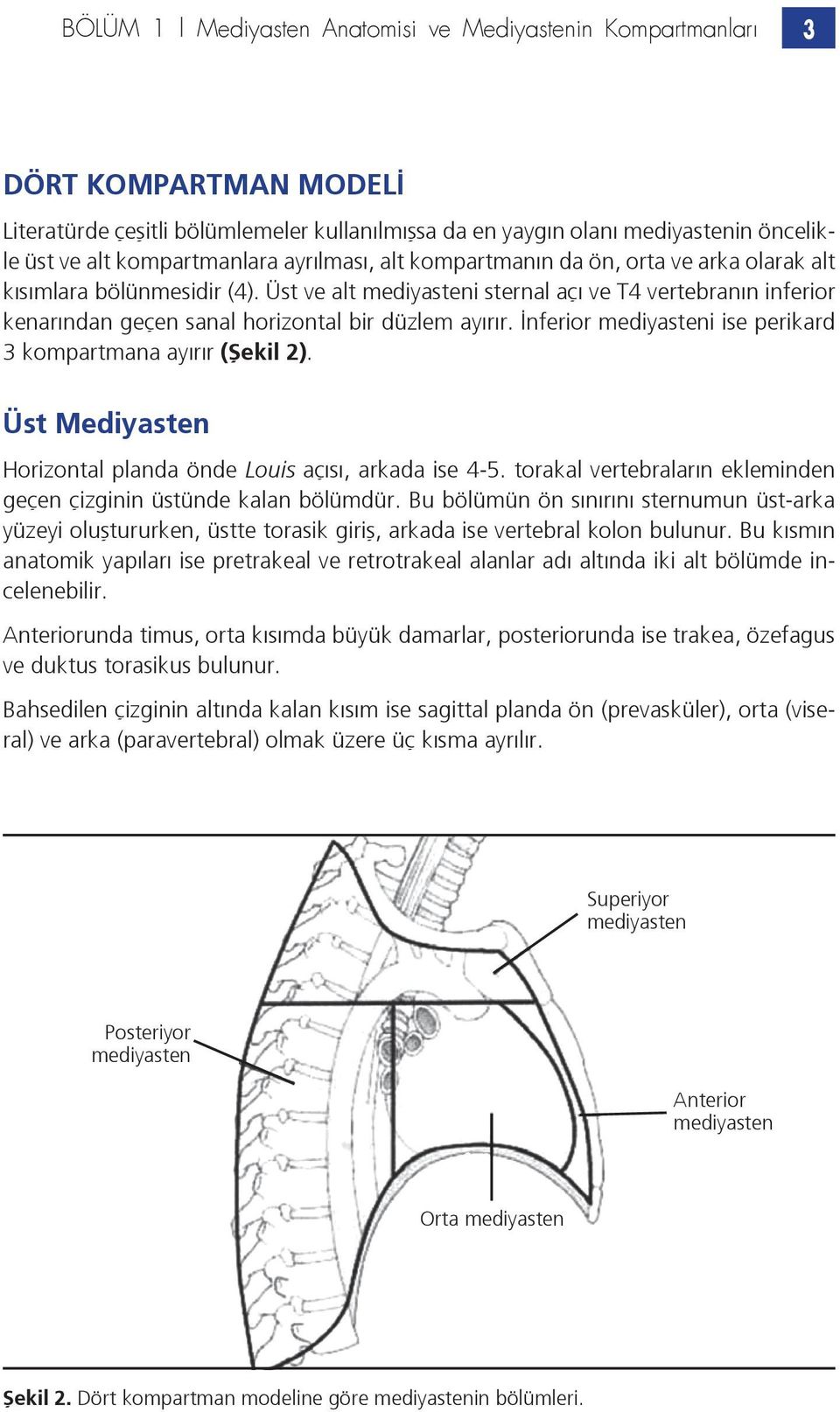 Üst ve alt mediyasteni sternal açı ve T4 vertebranın inferior kenarından geçen sanal horizontal bir düzlem ayırır. İnferior mediyasteni ise perikard 3 kompartmana ayırır (Şekil 2).