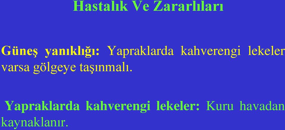 lekeler varsa gölgeye taşınmalı.