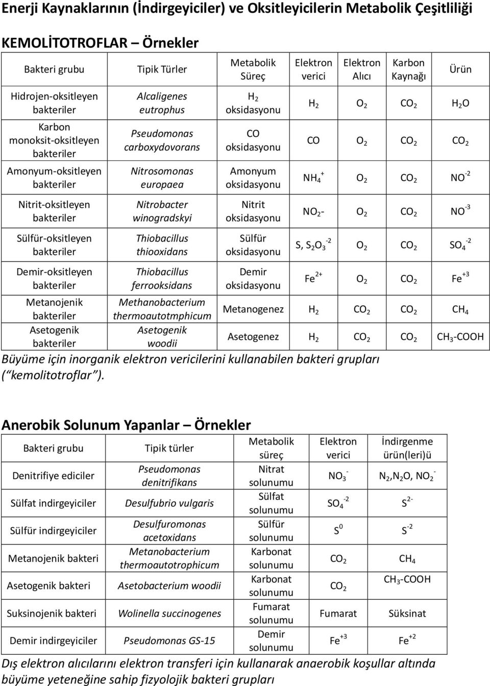 thiooxidans Thiobacillus ferrooksidans Methanobacterium thermoautotmphicum Asetogenik woodii Metabolik Süreç H 2 CO Amonyum Nitrit Sülfür Demir Elektron verici Elektron Alıcı Karbon Kaynağı Ürün H 2