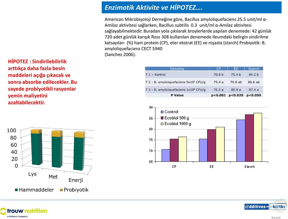 5 unit/ml α- Amilaz aktivitesi sağlarken, Bacillus subtilis 0.3 unit/ml α-amilaz aktivitesi sağlayabilmektedir.