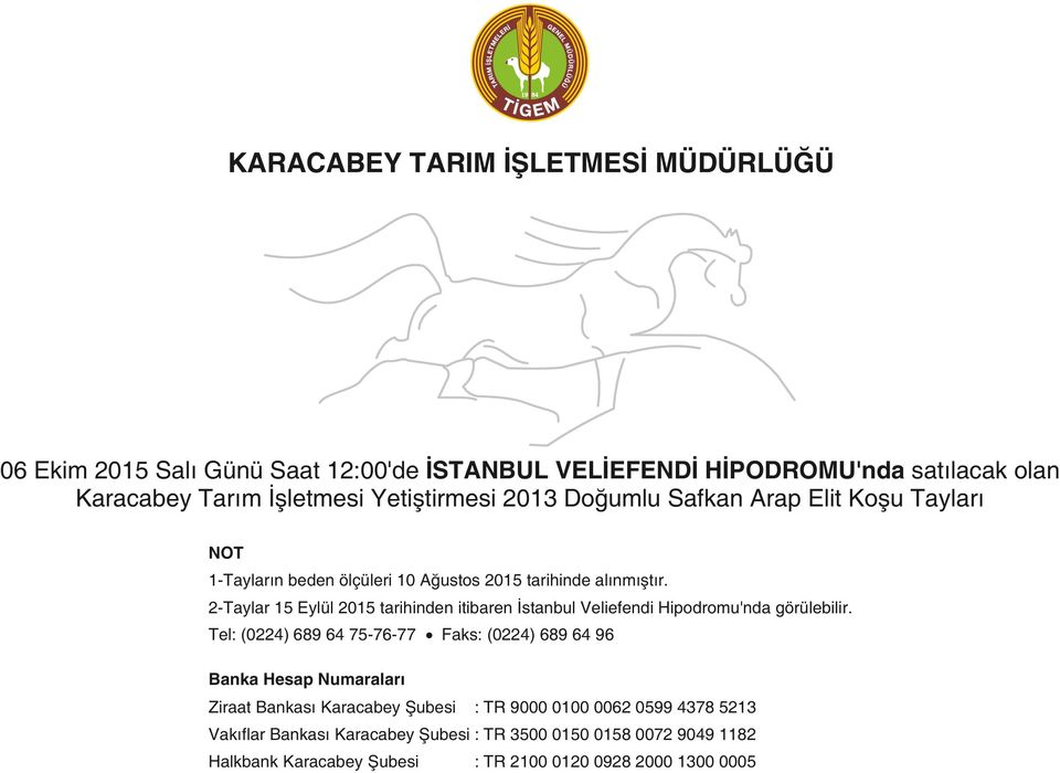 2-Taylar 15 Eylül 2015 tarihinden itibaren İstanbul Veliefendi Hipodromu'nda görülebilir.