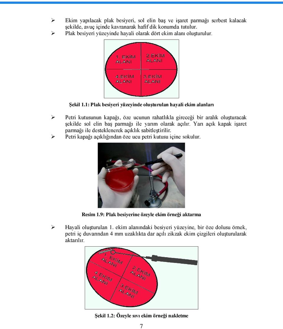 1: Plak besiyeri yüzeyinde oluģturulan hayali ekim alanları Petri kutusunun kapağı, öze ucunun rahatlıkla gireceği bir aralık oluģturacak Ģekilde sol elin baģ parmağı ile yarım olarak açılır.