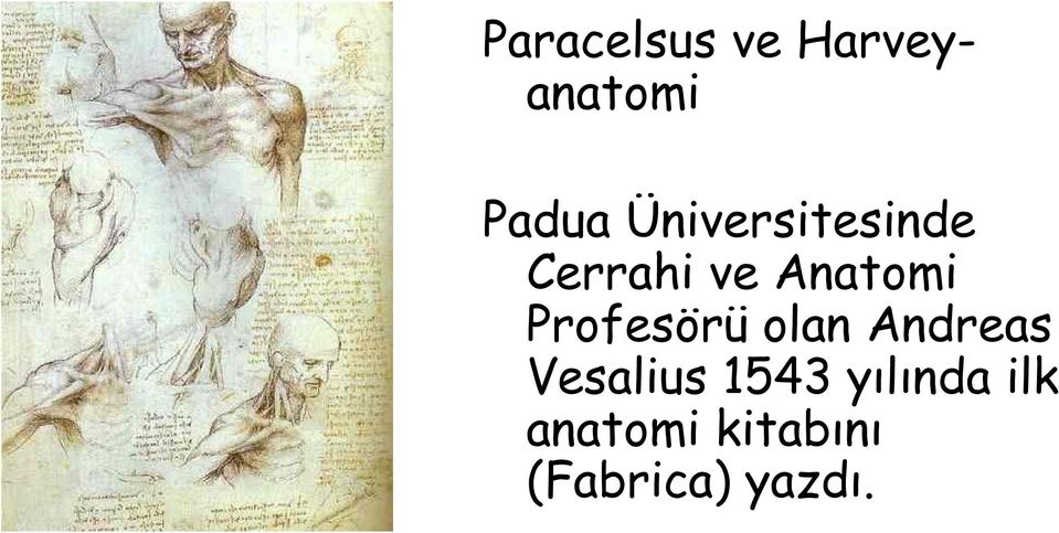 Profesörü olan Andreas Vesalius 1543