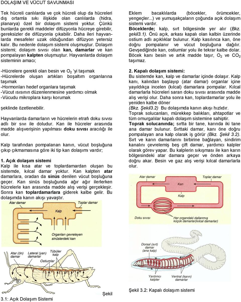 Bu nedenle dolaşım sistemi oluşmuştur. Dolaşım sistemi; dolaşım sıvısı olan kan, damarlar ve kan pompalayan kalpten oluşmuştur.