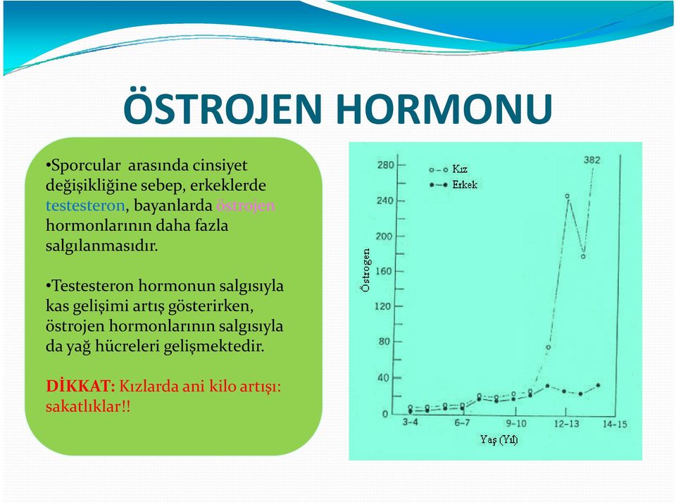 Testesteron hormonun salgısıyla kas gelişimi ş artış ş gösterirken, östrojen