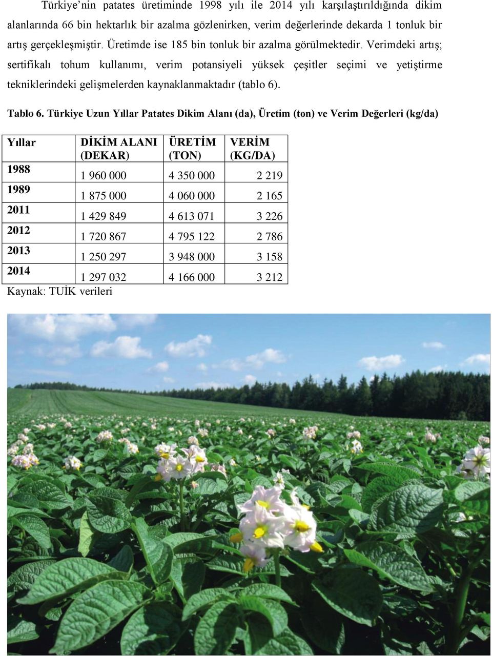 Verimdeki artış; sertifikalı tohum kullanımı, verim potansiyeli yüksek çeşitler seçimi ve yetiştirme tekniklerindeki gelişmelerden kaynaklanmaktadır (tablo 6). Tablo 6.