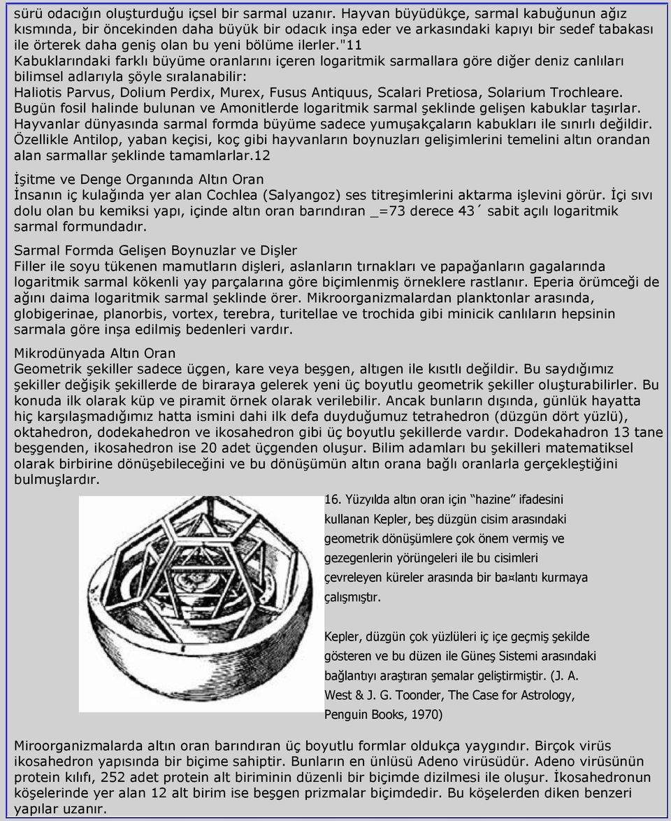 "11 Kabuklarındaki farklı büyüme oranlarını içeren logaritmik sarmallara göre diğer deniz canlıları bilimsel adlarıyla şöyle sıralanabilir: Haliotis Parvus, Dolium Perdix, Murex, Fusus Antiquus,