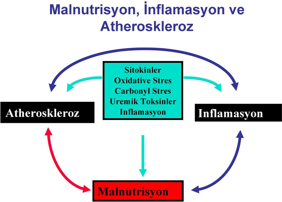 Sitokinler Oxidative Stres Carbonyl