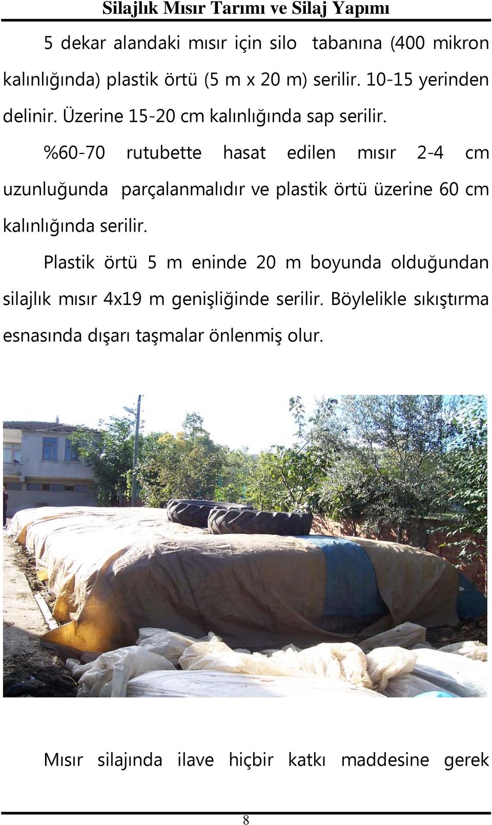 %60-70 rutubette hasat edilen mısır 2-4 cm uzunluğunda parçalanmalıdır ve plastik örtü üzerine 60 cm kalınlığında serilir.