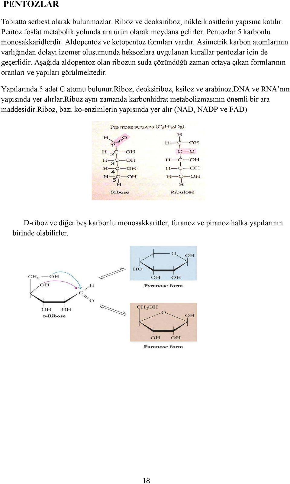 Asimetrik karbon atomlarının varlığından dolayı izomer oluşumunda heksozlara uygulanan kurallar pentozlar için de geçerlidir.