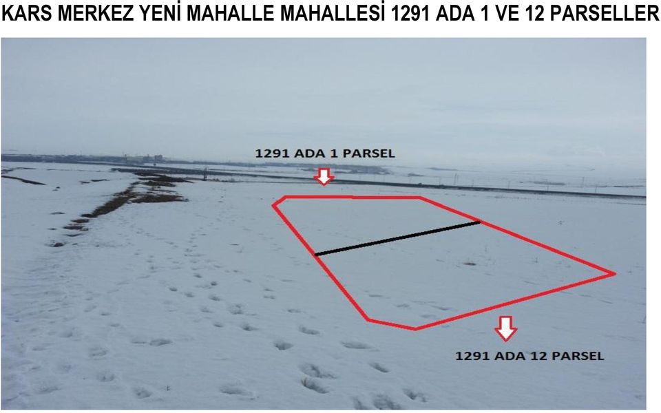 MAHALLESİ 1291