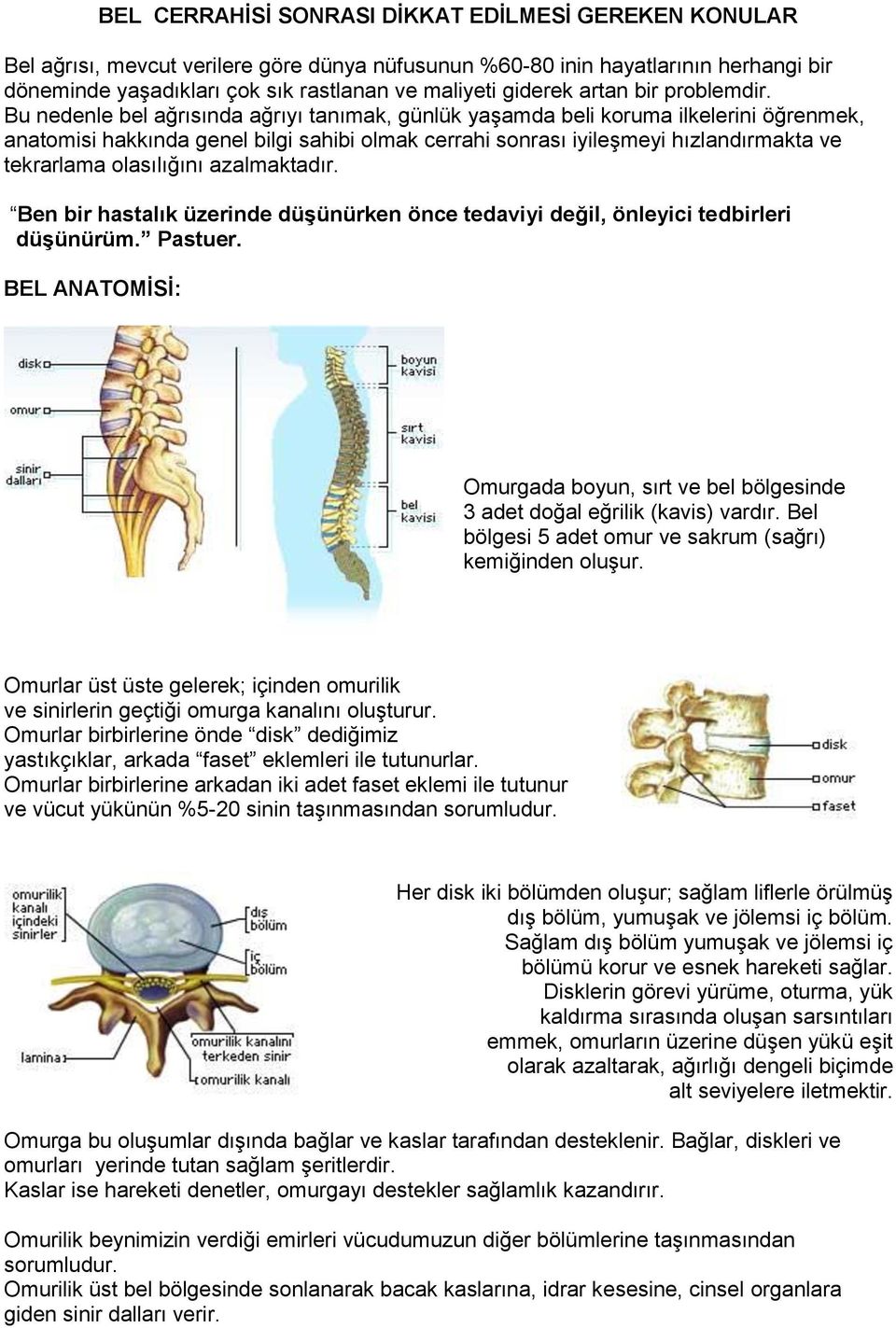 Bu nedenle bel ağrısında ağrıyı tanımak, günlük yaşamda beli koruma ilkelerini öğrenmek, anatomisi hakkında genel bilgi sahibi olmak cerrahi sonrası iyileşmeyi hızlandırmakta ve tekrarlama