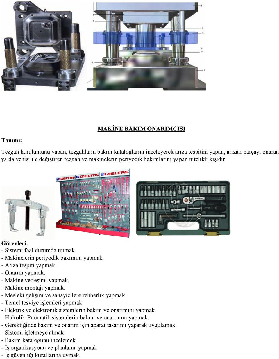 - Makine montajı yapmak. - Mesleki gelişim ve sanayicilere rehberlik yapmak. - Temel tesviye işlemleri yapmak - Elektrik ve elektronik sistemlerin bakım ve onarımını yapmak.