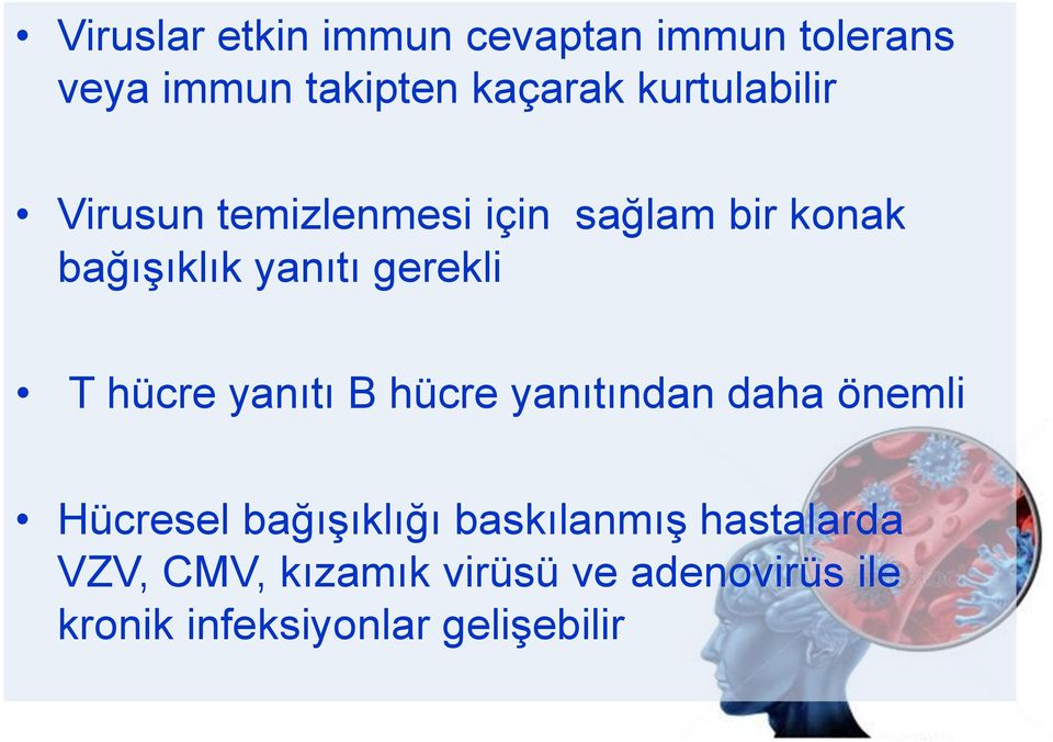 gerekli T hücre yanıtı B hücre yanıtından daha önemli Hücresel bağışıklığı