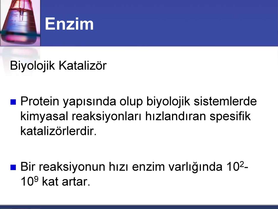 reaksiyonları hızlandıran spesifik