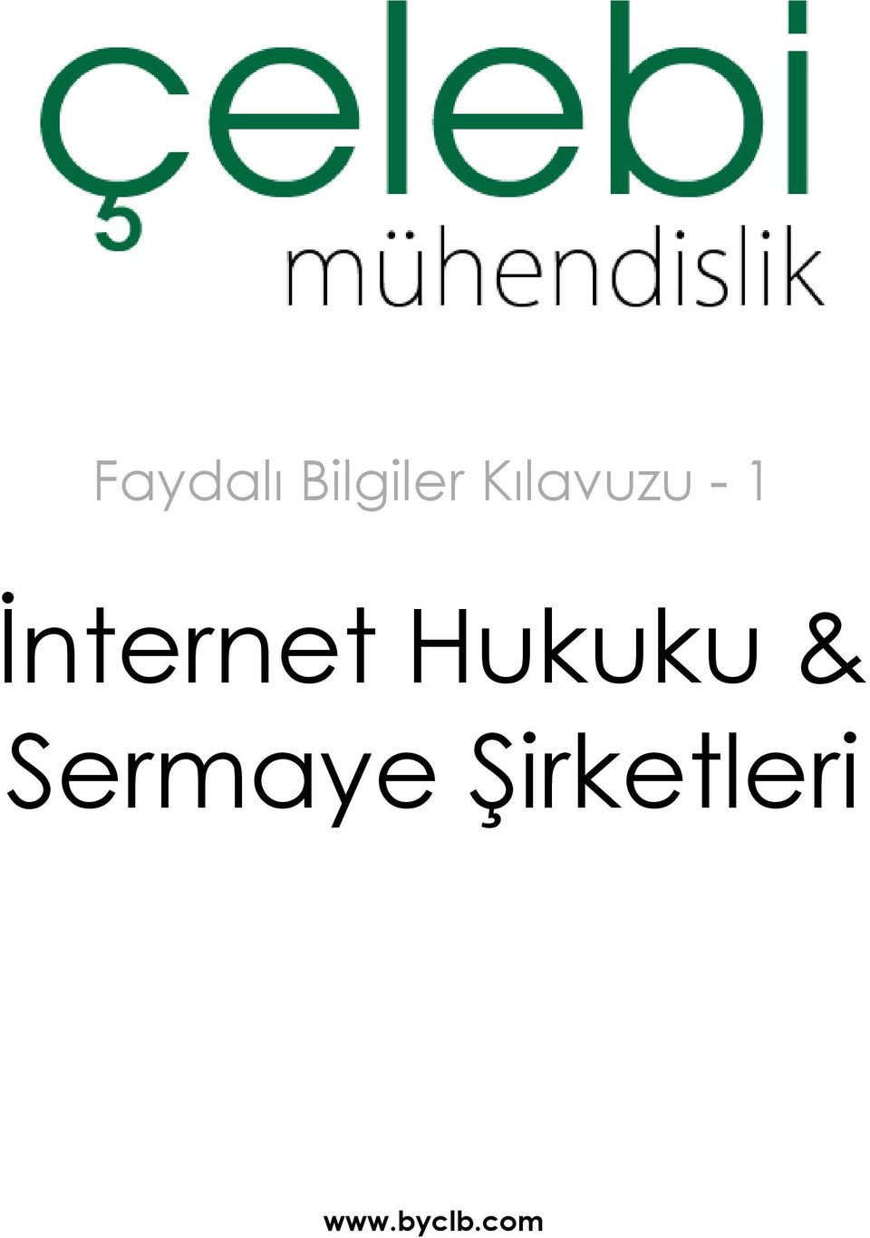 İnternet Hukuku &