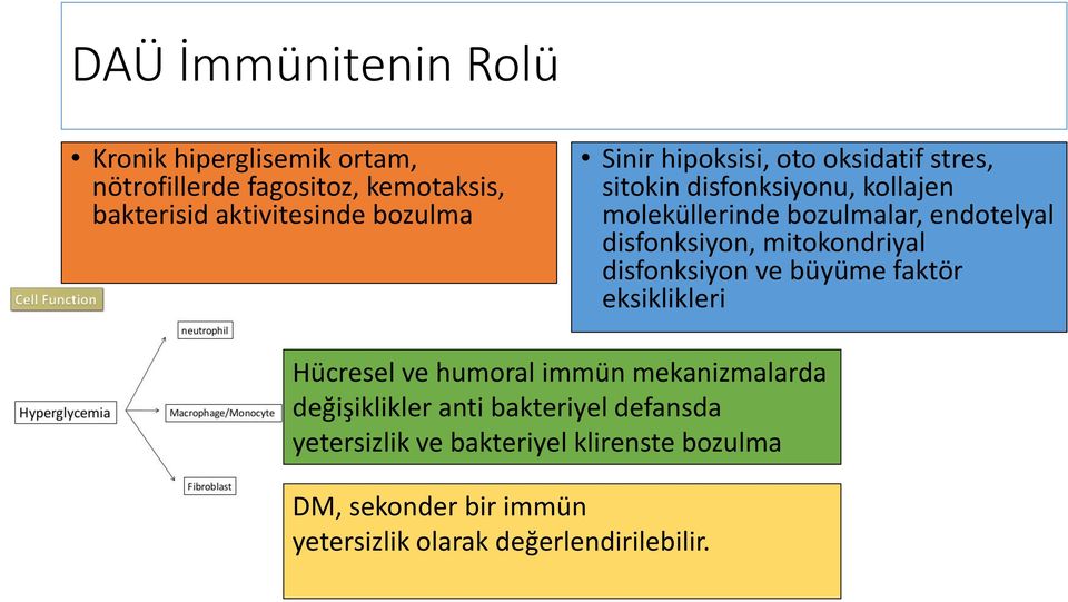 mitokondriyal disfonksiyon ve büyüme fakto r eksiklikleri Hücresel ve humoral immün mekanizmalarda değişiklikler anti