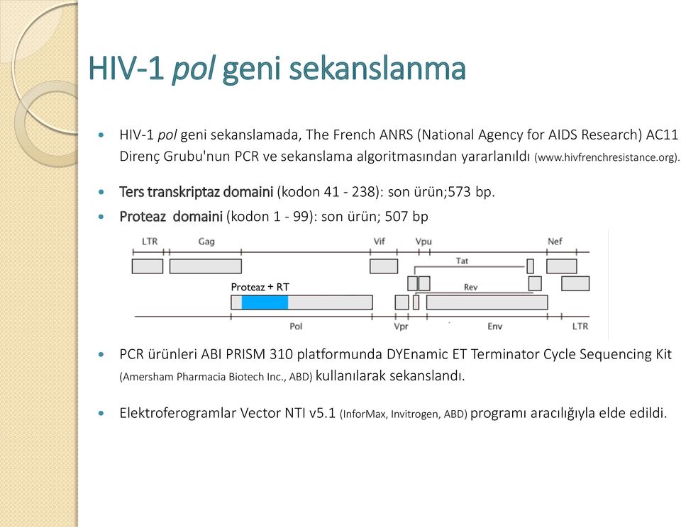 Proteaz domaini (kodon 1-99): son ürün; 507 bp PCR ürünleri ABI PRISM 310 platformunda DYEnamic ET Terminator Cycle Sequencing Kit