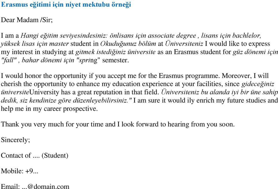 Erasmus niyet mektubu