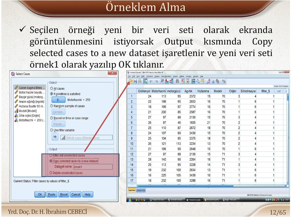 kısmında Copy selected cases to a new dataset