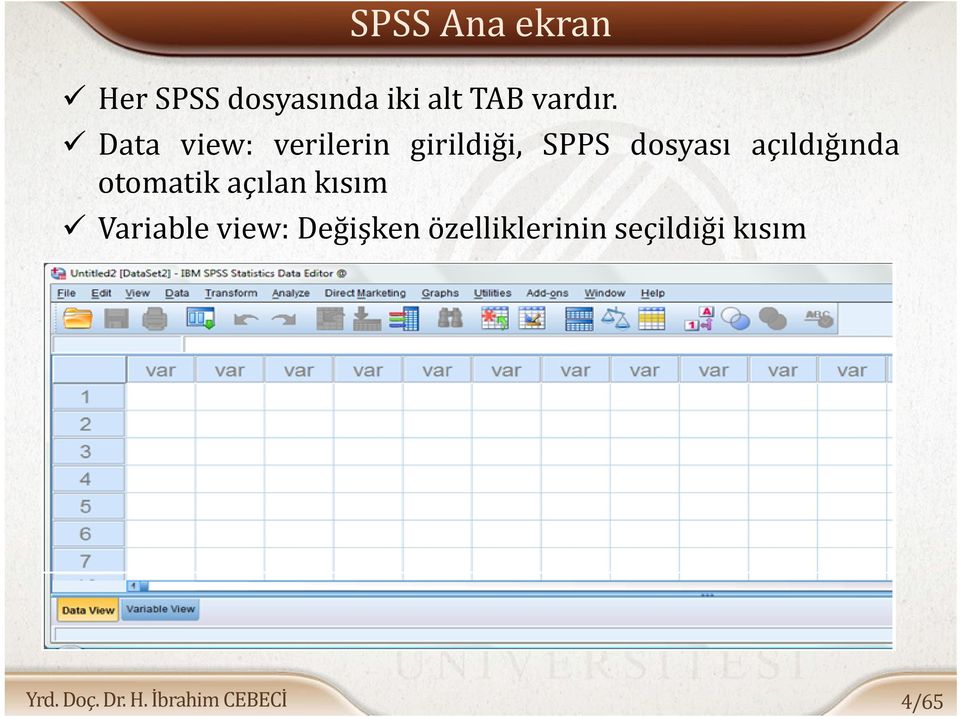 Data view: verilerin girildiği, SPPS dosyası