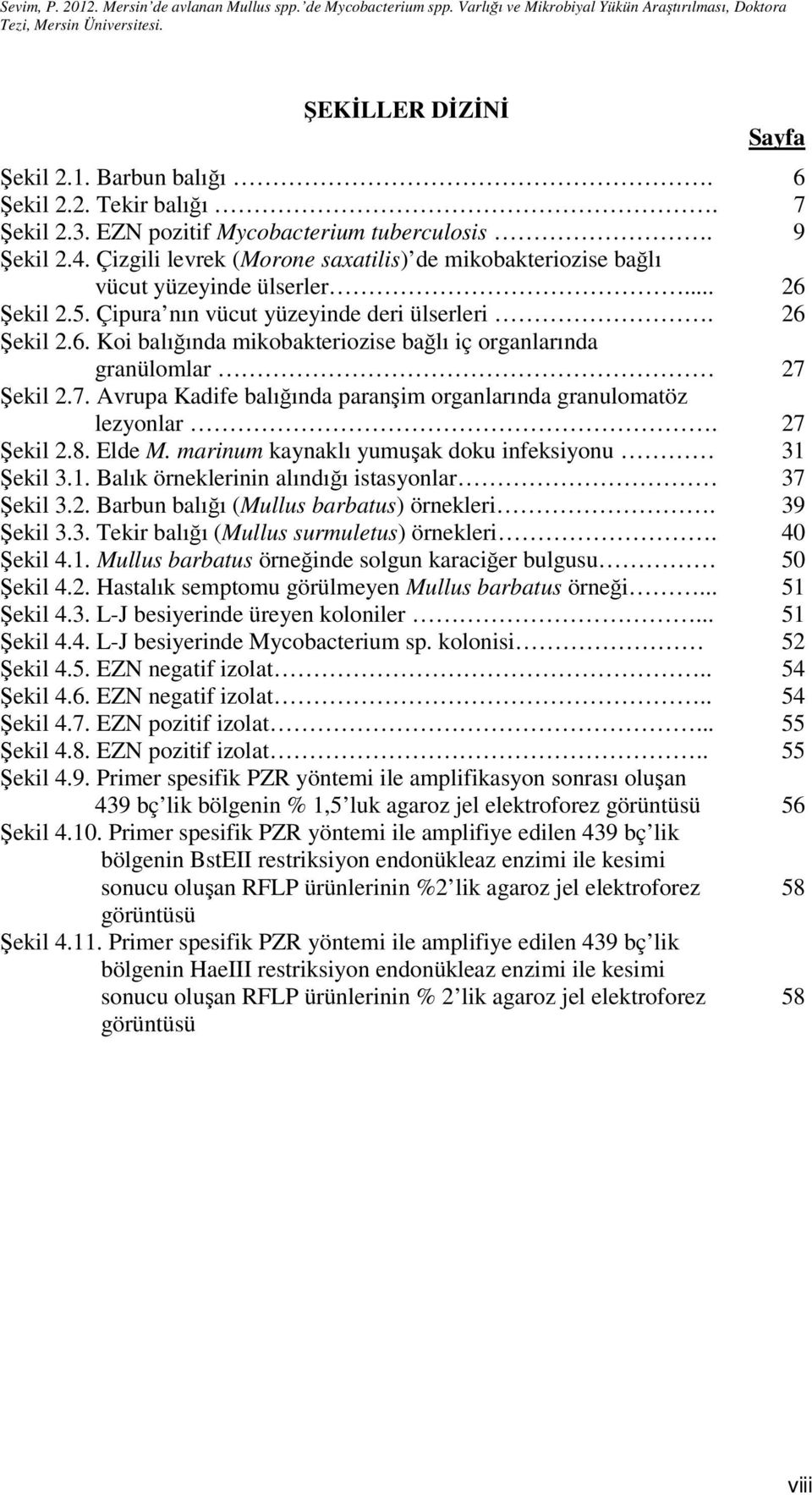 7. Avrupa Kadife balığında paranşim organlarında granulomatöz lezyonlar. 27 Şekil 2.8. Elde M. marinum kaynaklı yumuşak doku infeksiyonu 31 Şekil 3.1. Balık örneklerinin alındığı istasyonlar 37 Şekil 3.